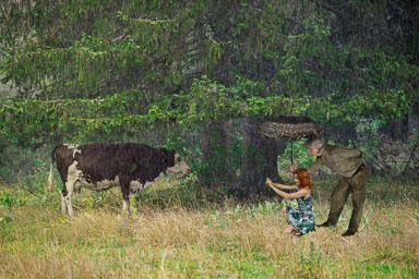 11-Vache-de-photo-sousla-pluie_DSC0527_FF_399.jpg