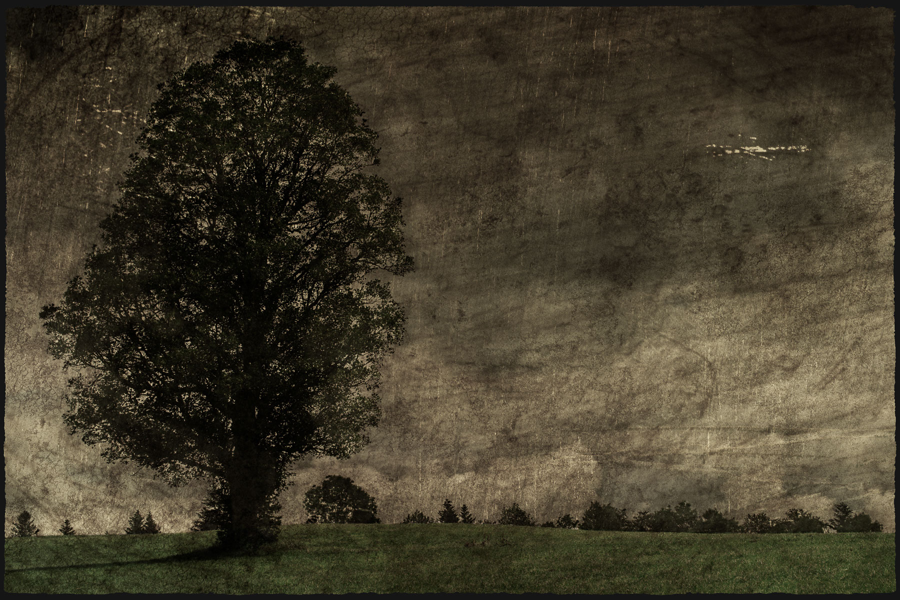 C-Arbre-solitaire.jpg