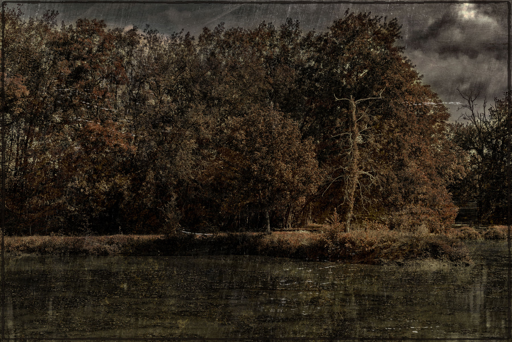 D-Les-Dombes-à-l'automne.jpg