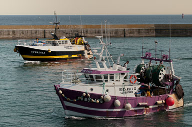 08_Bateaux_noir-jaune_et_mauve_PV05847.jpg