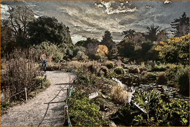 21-Jardin-botanique-1.jpg