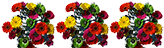 bouton2 news